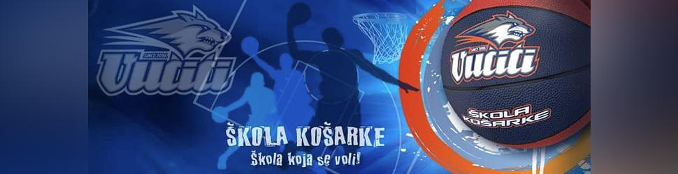 Vučići škola košarke