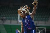 Cibona na koljenima, bumerang se vratio na mjesto s kojeg je bačen