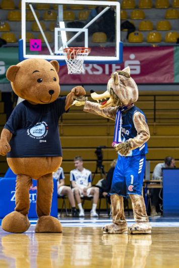 Sesar uoči Zaboka: Pozivam navijače da nas podrže u ovom izazovnom razdoblju