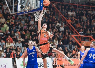 Dubrava se pojačala pod koševima