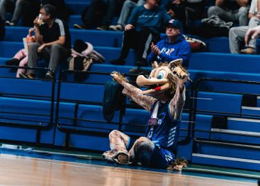 Cibona se vraća na europsku scenu